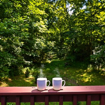 Smoky Mountains Hut Tub Cabin Dog Friendly 세비어빌 외부 사진