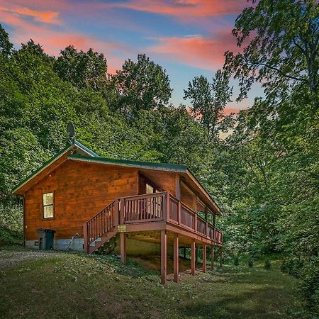 Smoky Mountains Hut Tub Cabin Dog Friendly 세비어빌 외부 사진