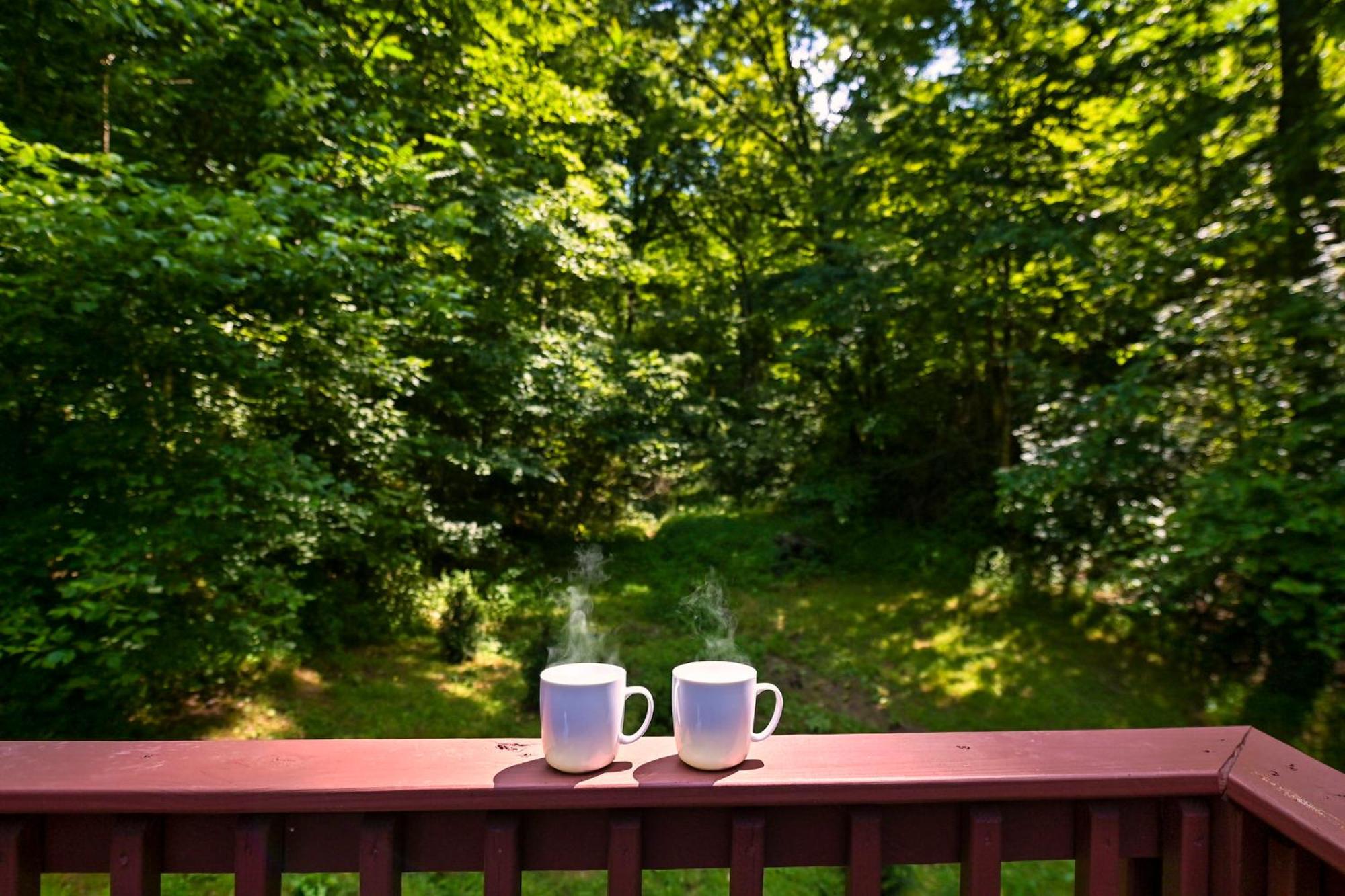 Smoky Mountains Hut Tub Cabin Dog Friendly 세비어빌 외부 사진
